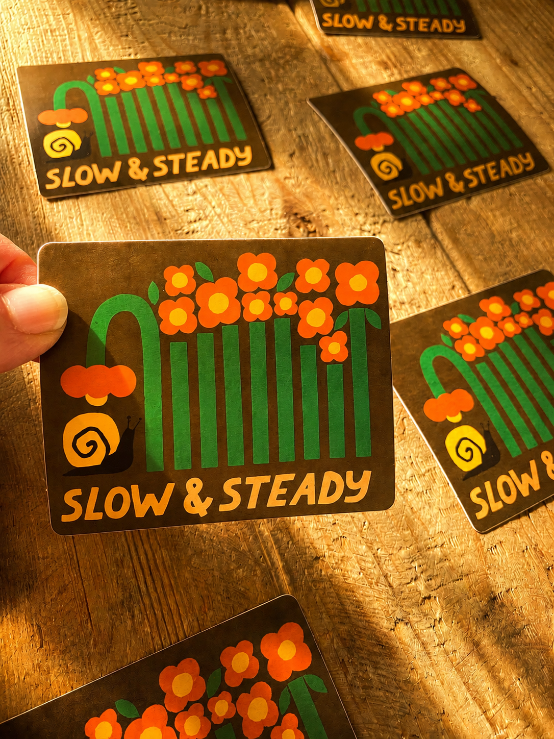 Slow and Steady Sticker