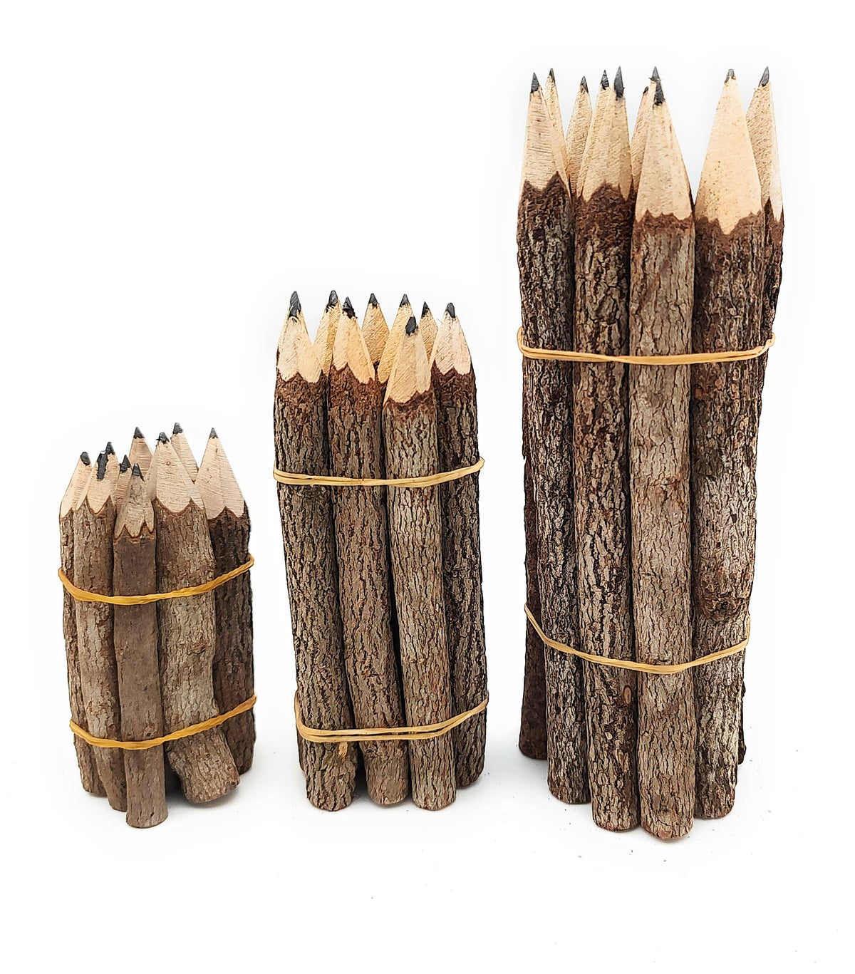 Jungle Vine Pencils