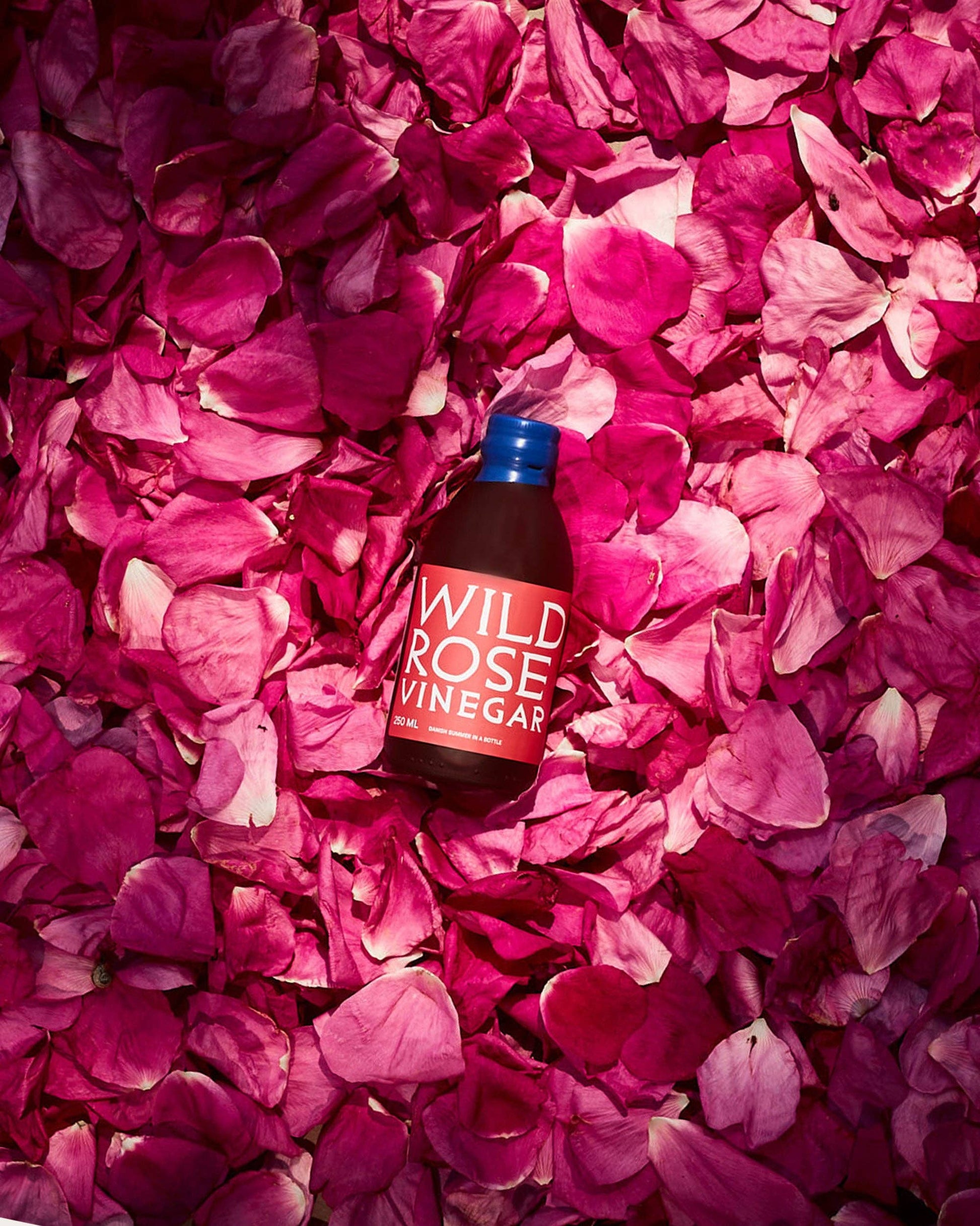 Wild Rose Vinegar