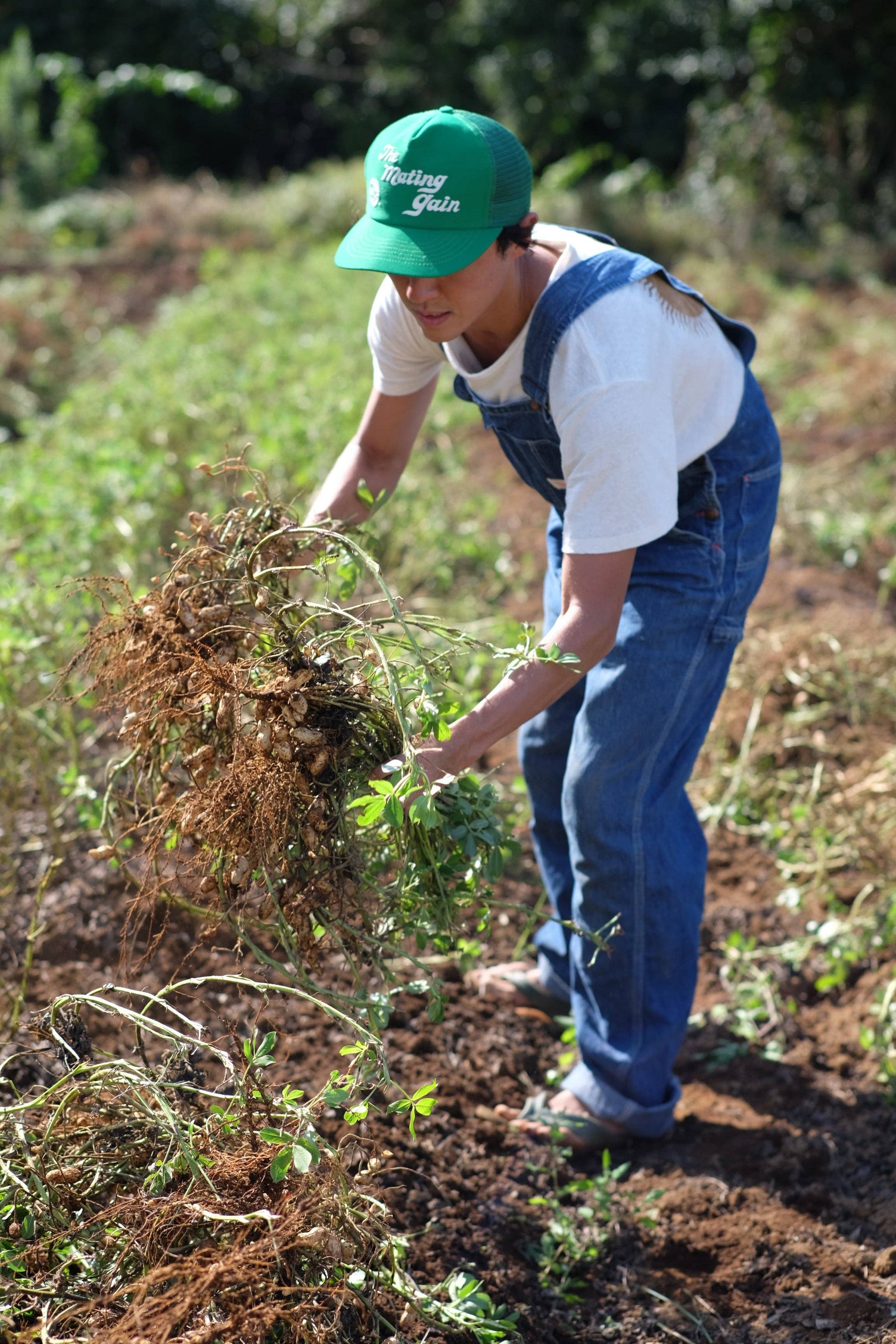 Unsweetened Peanut Butter