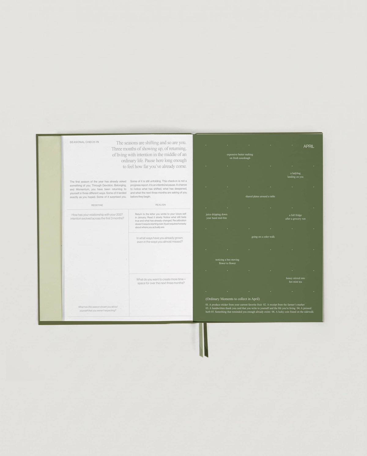 2027 Intentional Planner