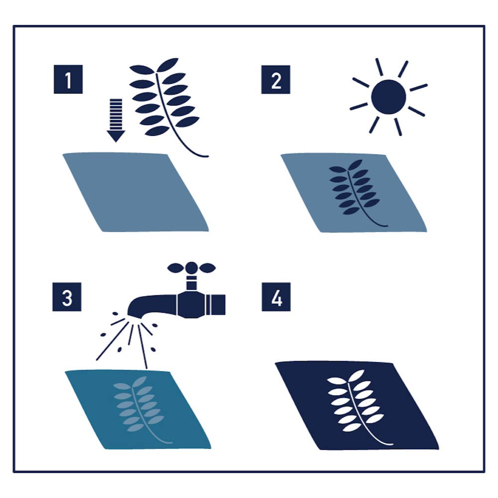 Sunography - Color Cards