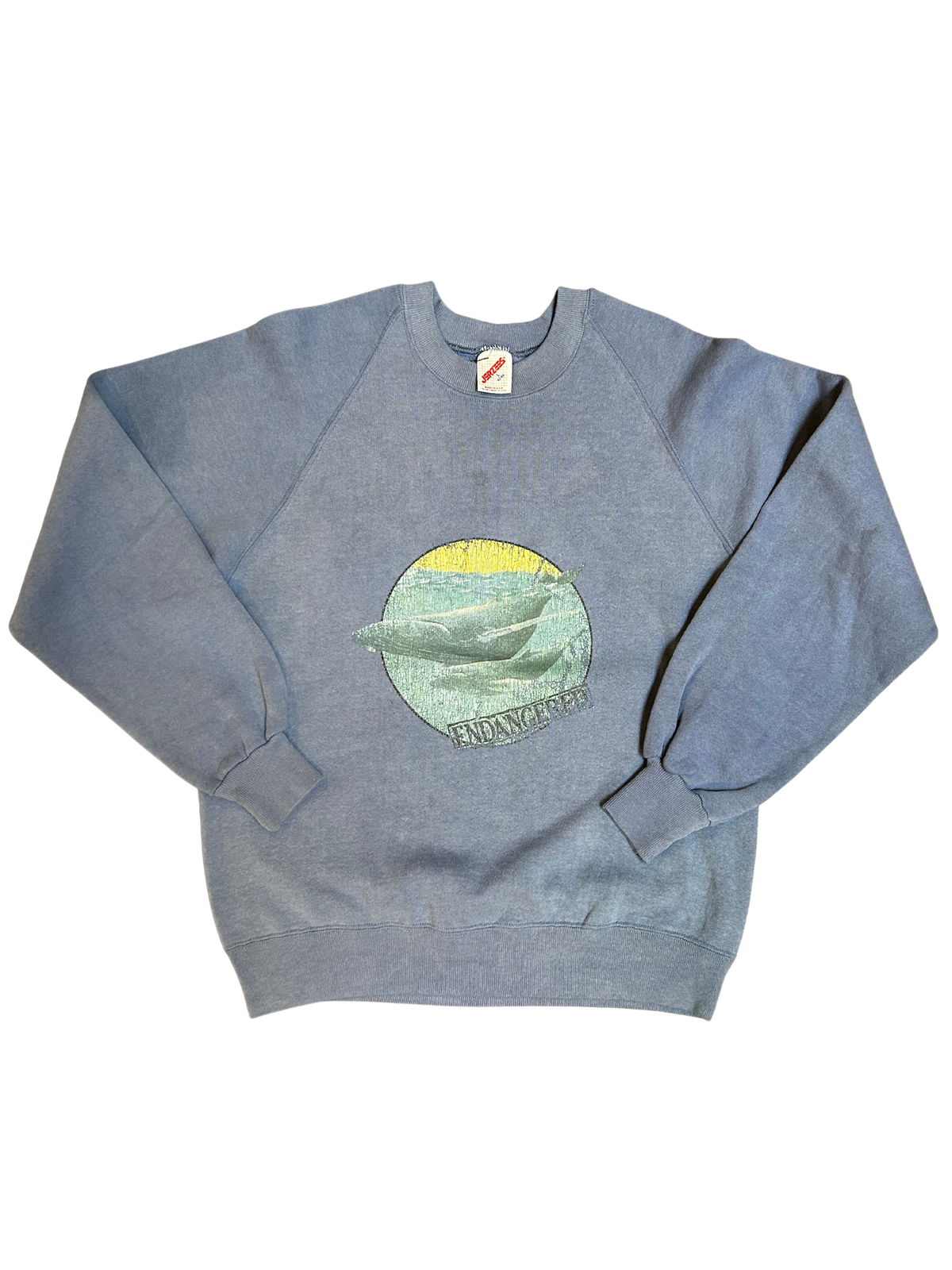 Endangered Blue Whale Crew