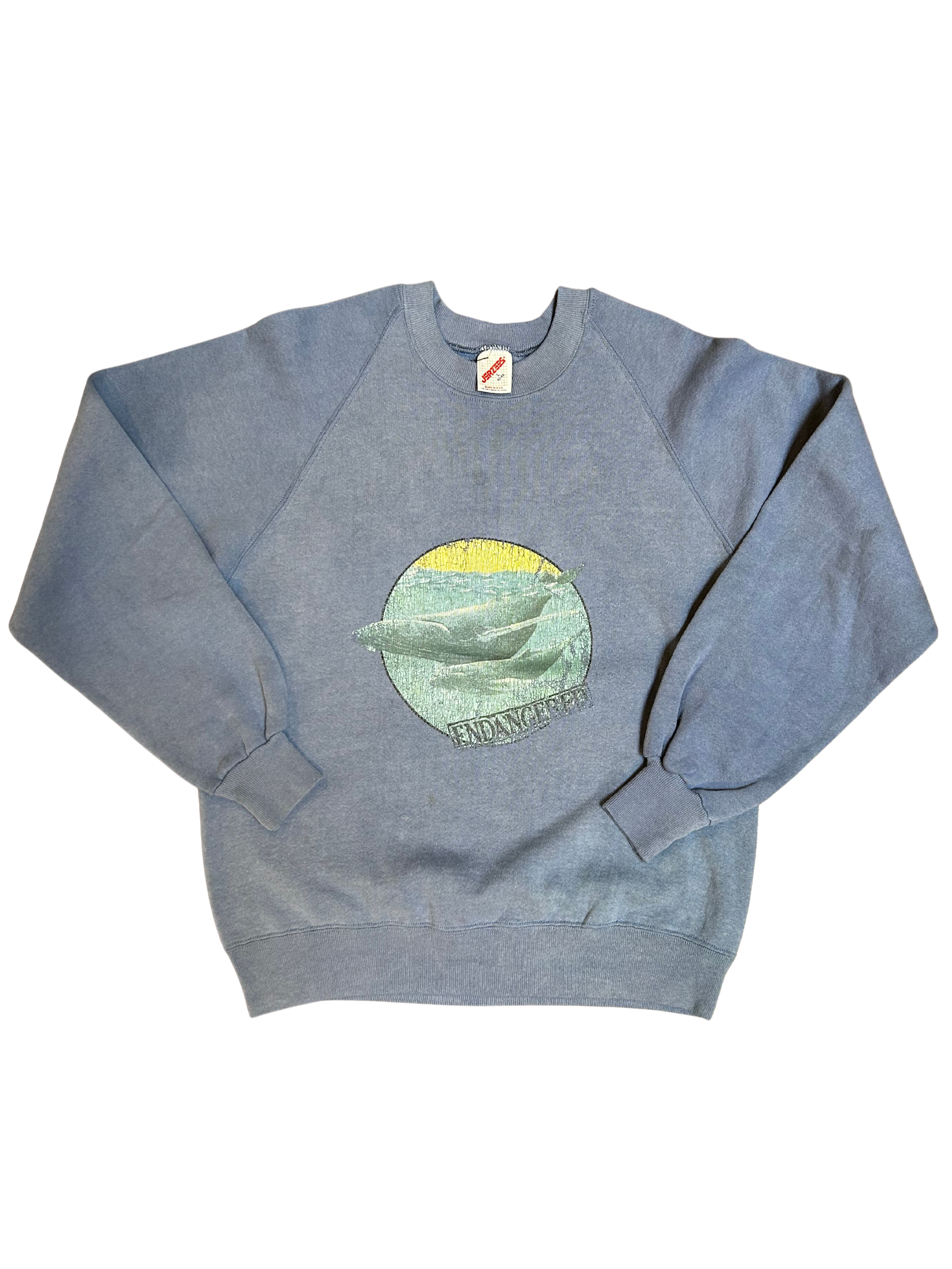 Endangered Blue Whale Crew