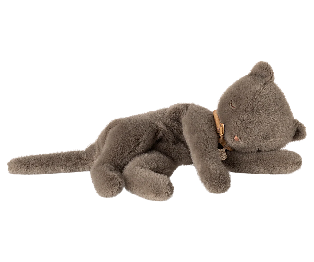 Sleeping Kitten