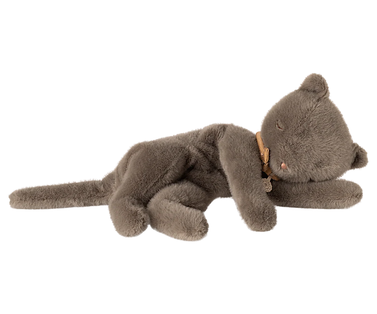 Sleeping Kitten