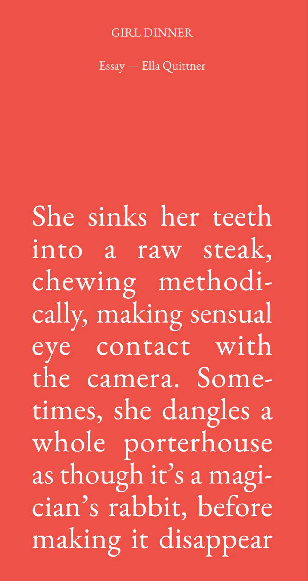 Cake Zine Issue 8: Steak Zine